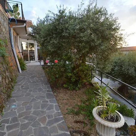 Vittoria